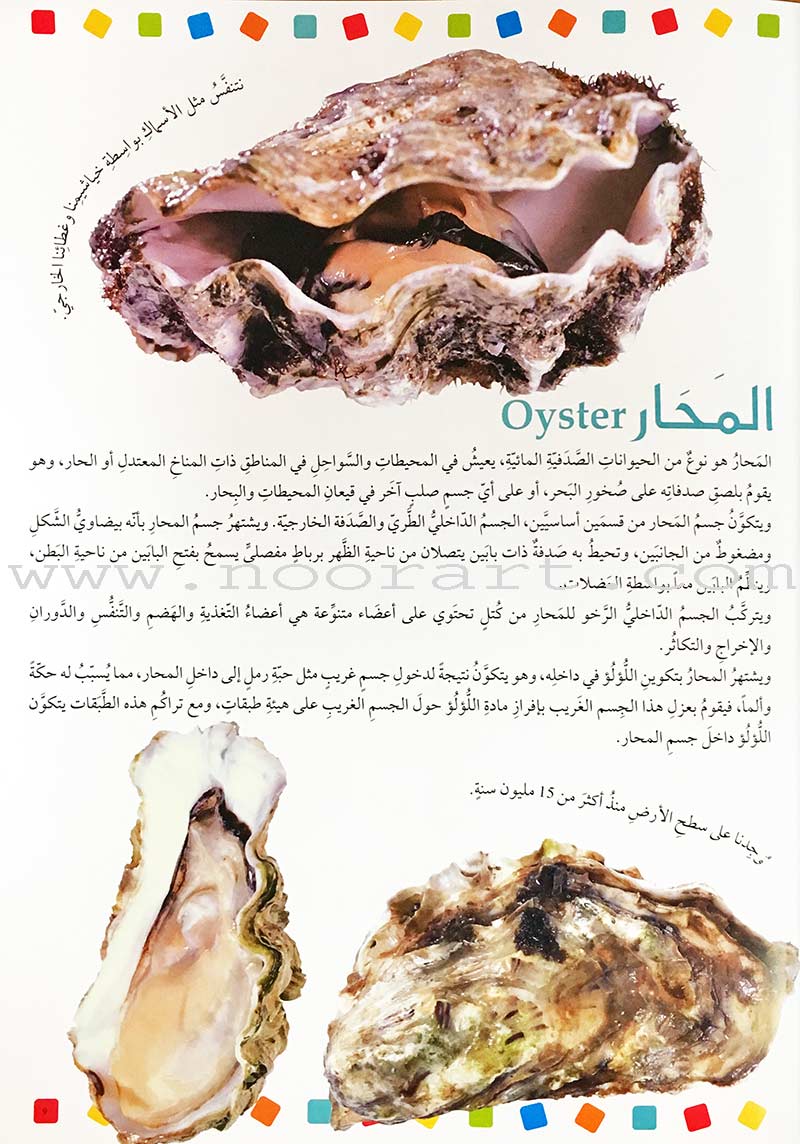 Encyclopedia of knowledge for young people (My giant book ,Set of 25 Books) موسوعة المعرفة للناشئة ,كتابي العملاق