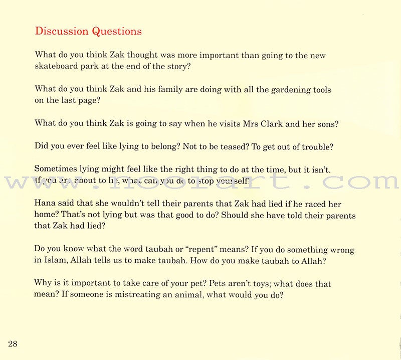 Zak and His Little Lies - Hardcover