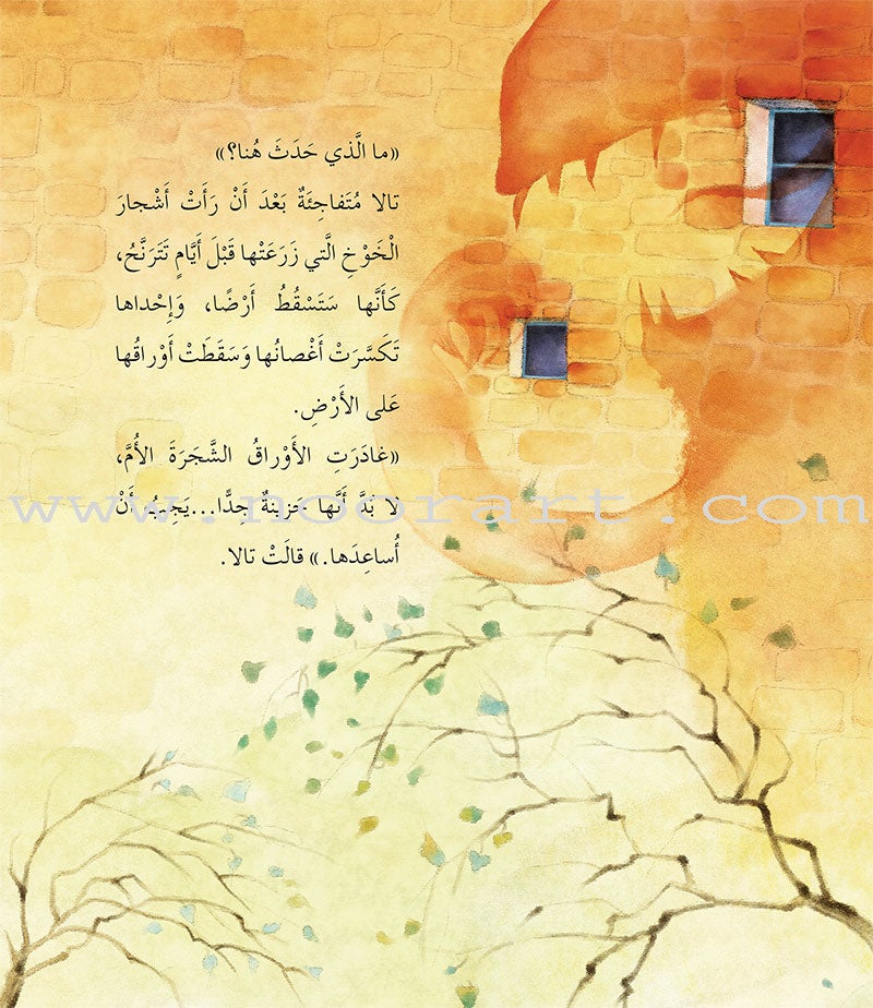 Bedtime Stories (set of 5 Books) قصص قبل النوم