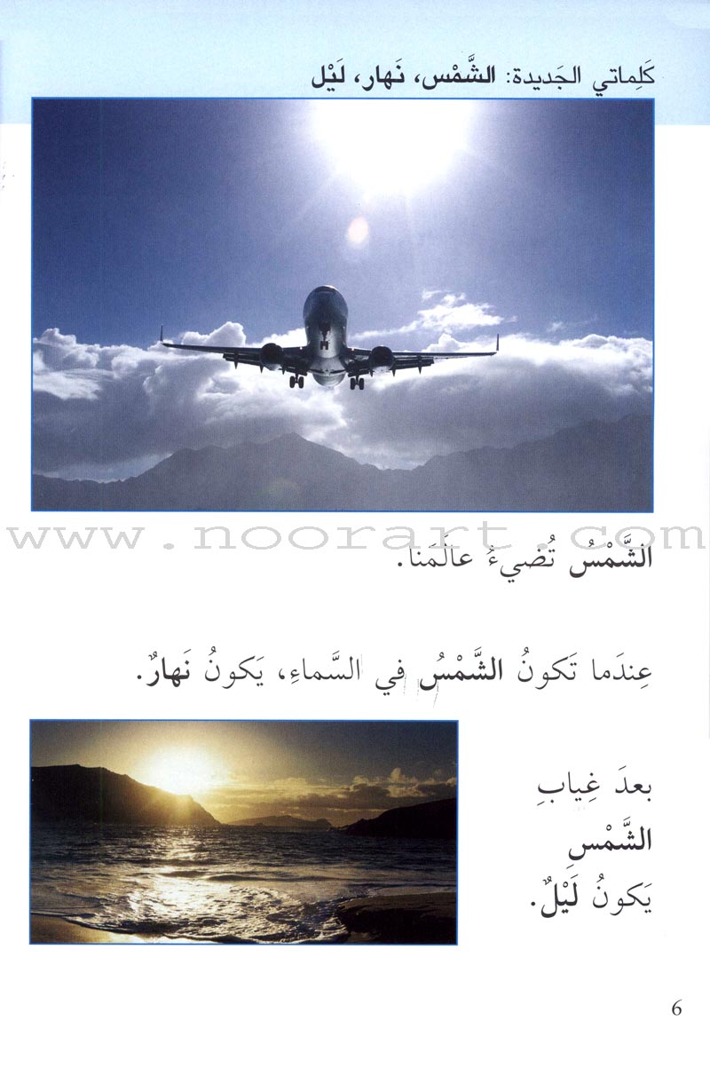 Science Basics: Level 1 (4 Books)