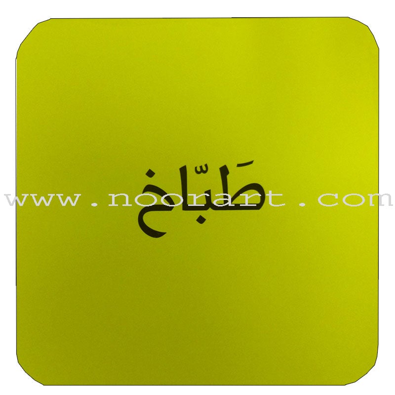 The Concepts Case: Level 2 (Activity Book, DVD, and Flash Cards) المفاهيم