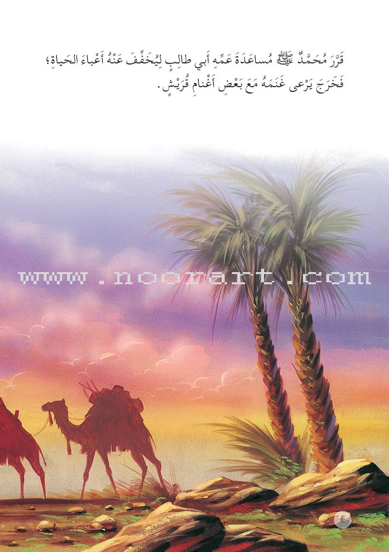 Prophet Muhammad the Messenger of Allah Peace be upon Him (12 Books) محمد  رسول الله  صلى الله  عليه وسلم