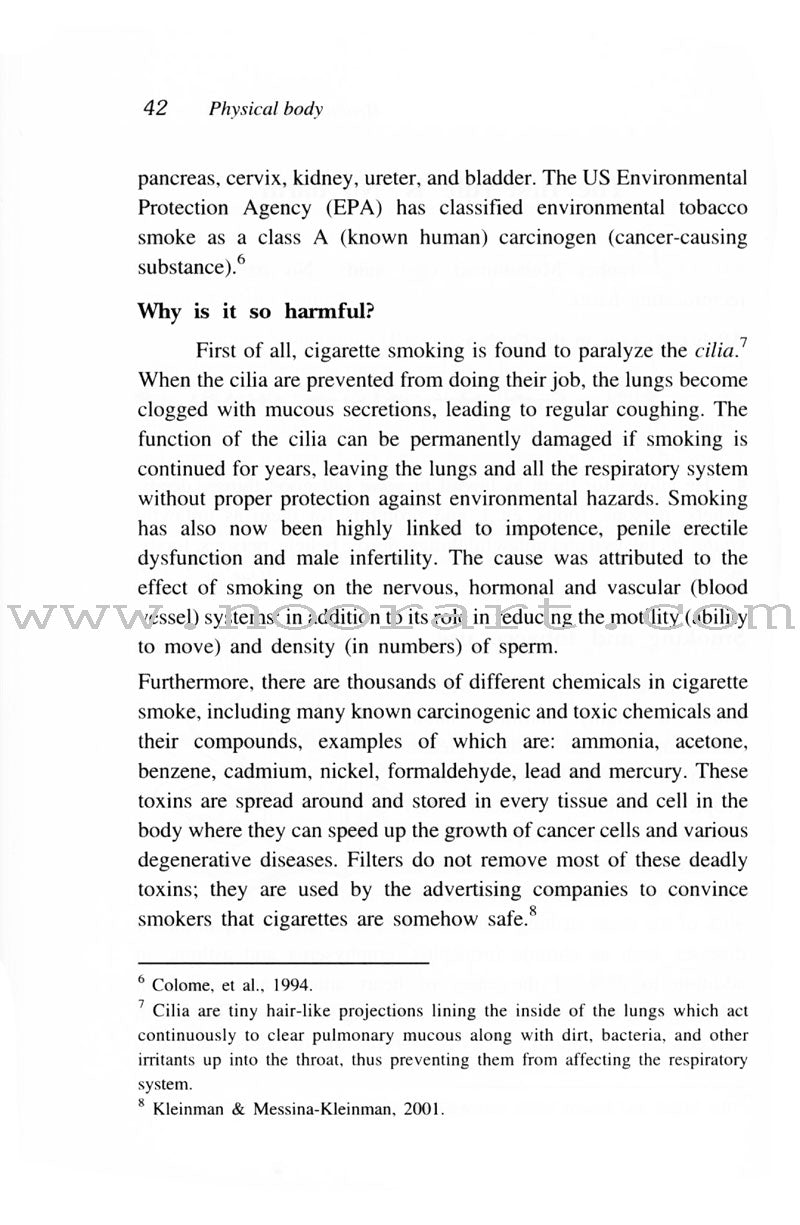 Healing Body & Soul: Your Guide to Holistic Wellbeing Following Islamic Teachings