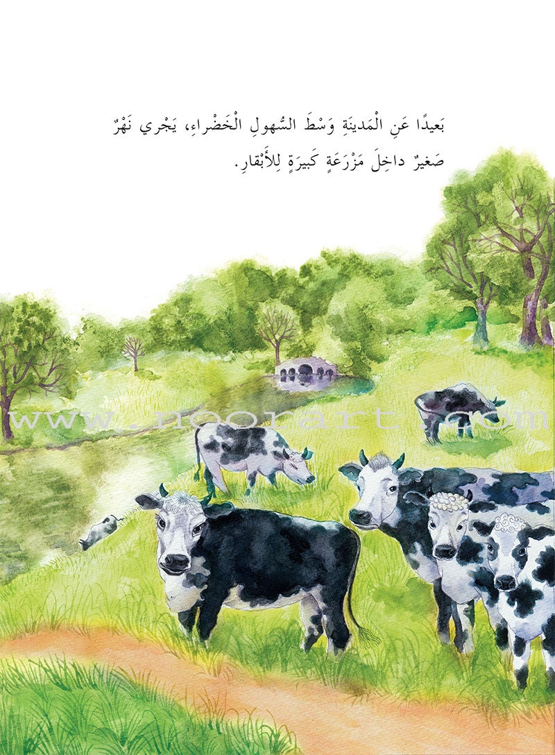 China Wind Stories (set of 8 Books) قصص رياح الصين