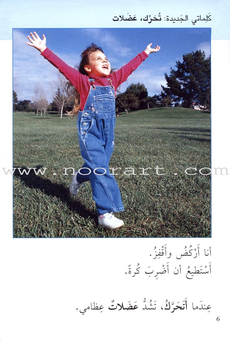 Science Basics: Level 1 (4 Books)