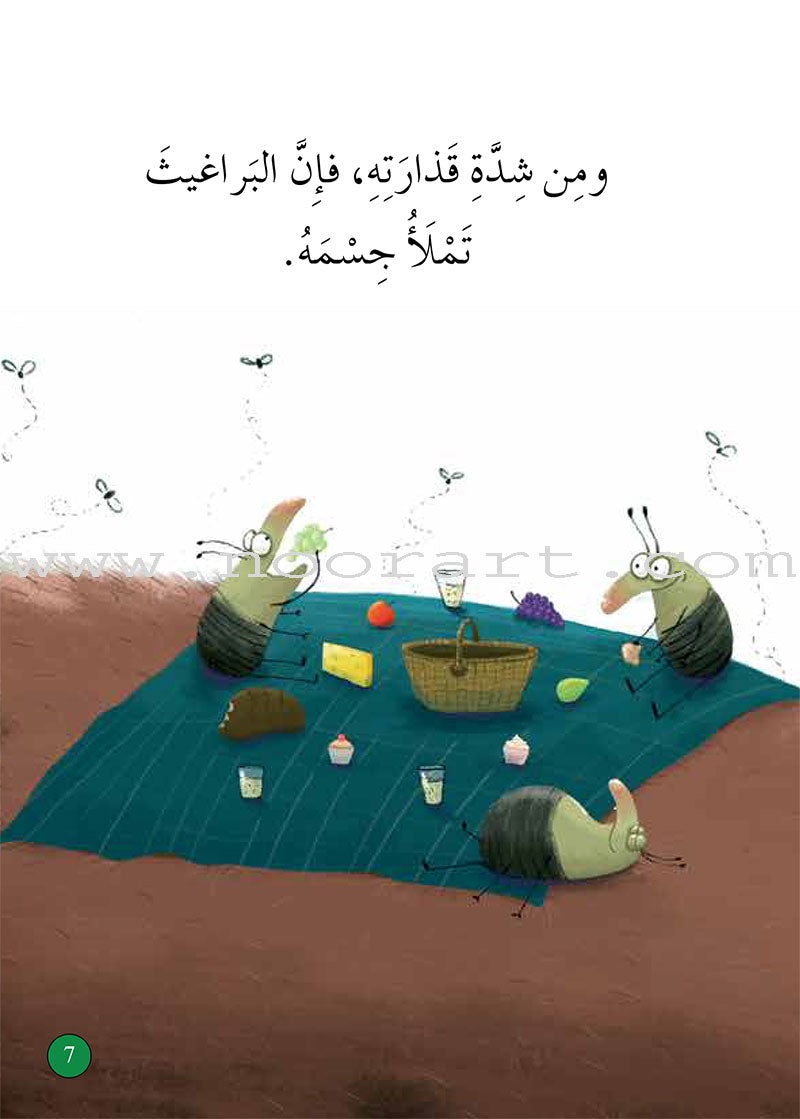 Graded Reading Series - Green Group: Level 5 (set of 5 Books) سلسلة القراءة المتدرجة مجموعة اللون الأخضر