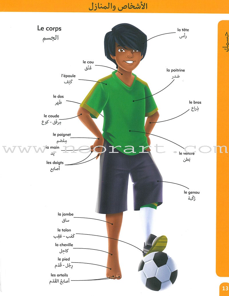 Oxford Children's Visual Dictionary French - Arabic قاموس اكسفورد البصري للاطفال