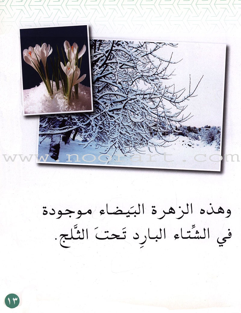 Small Wonders Level 1: Flowers