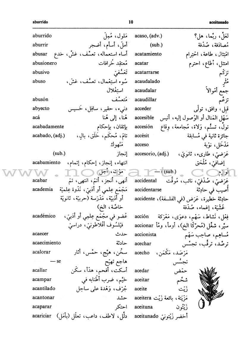 Diccionario De Estudiantes (Student Dictionary) Arabic-Spanish Spanish-Arabic معجم الطلاب المزدوج