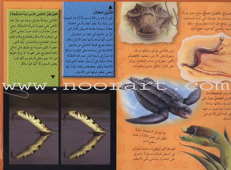 Discover with The Three-Dimensional Telescope (6 books) اكتشف بالمنظار الثلاثي الأبعاد