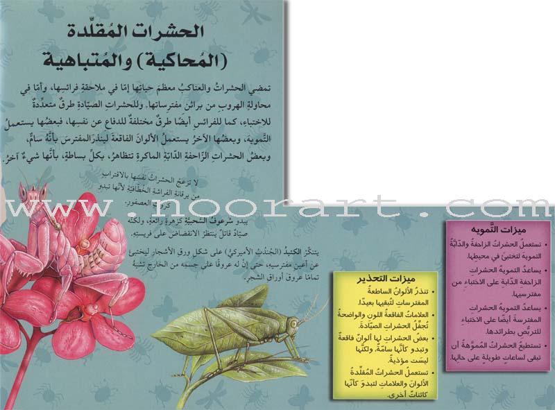 Discover with The Three-Dimensional Telescope (6 books) اكتشف بالمنظار الثلاثي الأبعاد