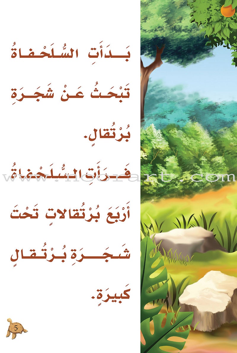 Reading Program in the Arabic Language: Level 3 (Set of 12 books) برنامج القراءة في اللغة العربية