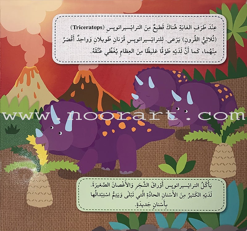 Play and Make Series (Set of 4 books)