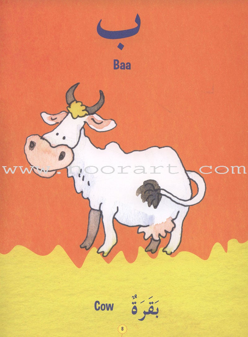 Arabic Alphabet and Writing