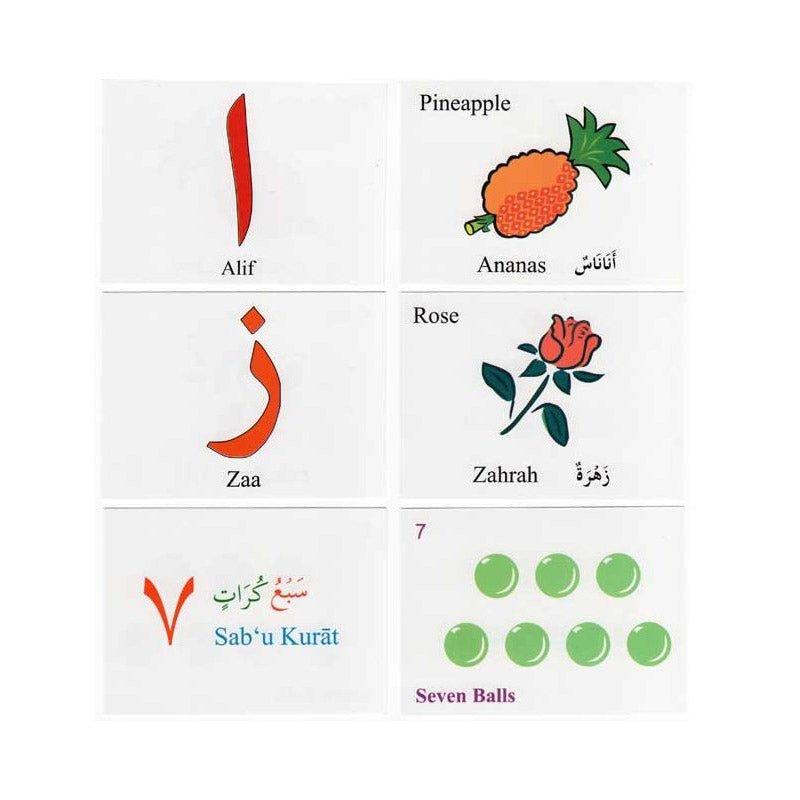 Flash Cards - Learn Arabic the Language of Qur'an, Arabic-English (Flash Cards) كروت فلاش / إنجليزي-عربي