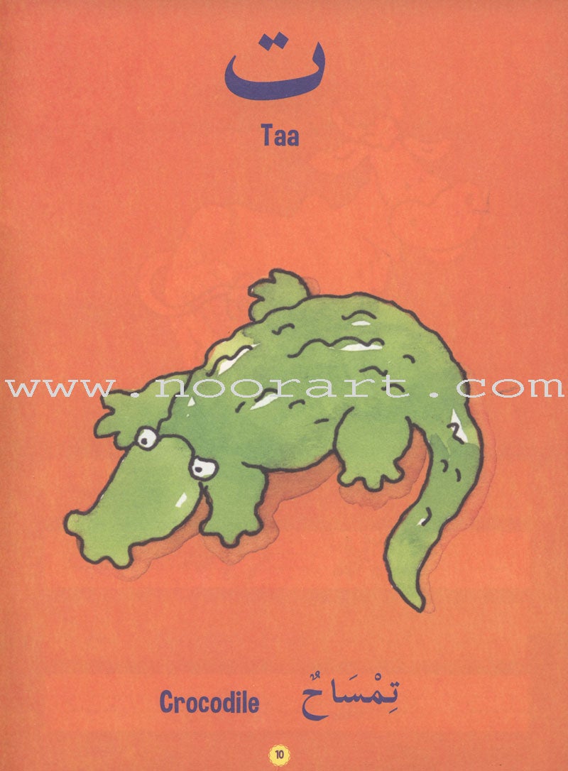 Arabic Alphabet and Writing