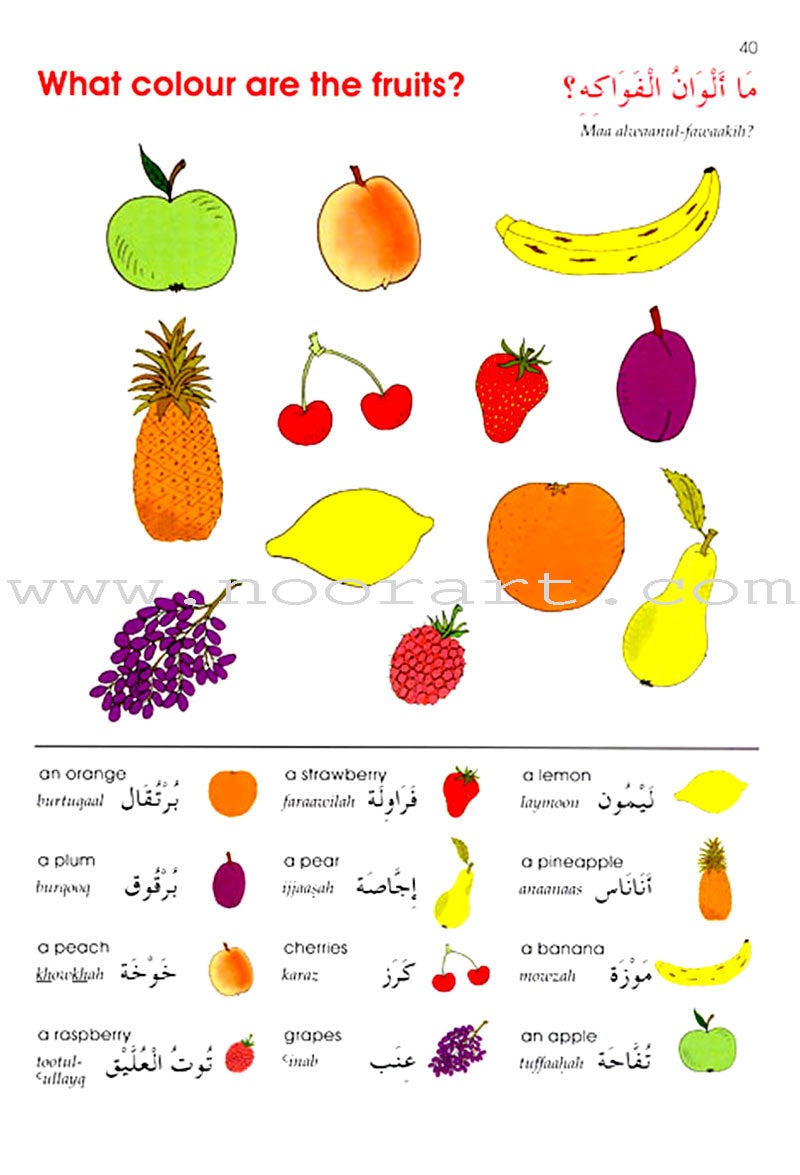 Arabic Without Tears: Volume 1 العربية بلا دموع