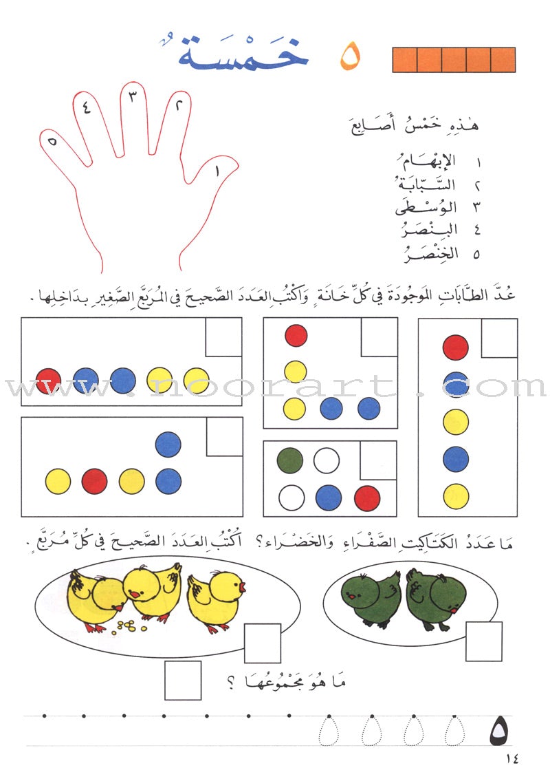 My Favorite Math الحساب المحبوب