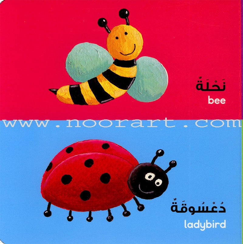 Animals Board Book الحيوانات
