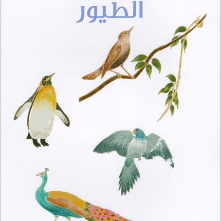 The Reading Tree Series: Beginner Level, Group 1 (Set of 10 Books) سلسلة شجرة القراءة