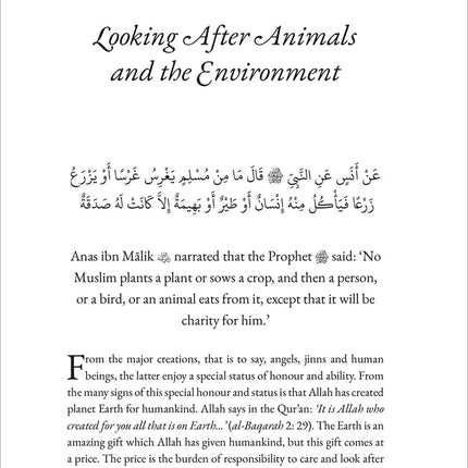 40 Hadith Collection (Box Set)