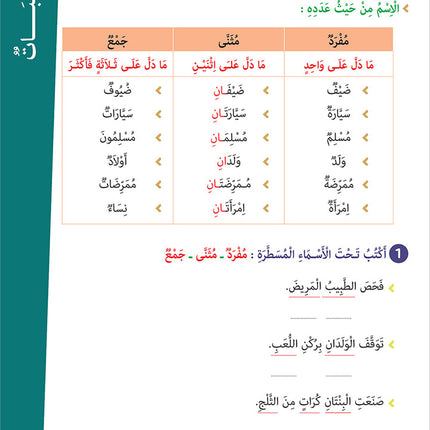Easy Arabic - I Learn and Master: Level 3, Part 2 العربية الميسرة أتعلم و أتقن