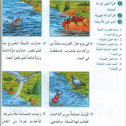 I Love and Learn the Arabic Language Textbook: Level 5 أحب و أتعلم اللغة العربية كتاب التلميذ