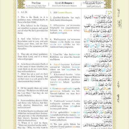 The Holy Qur’an: Colour-Coded Arabic Text and Transliteration with English Translation