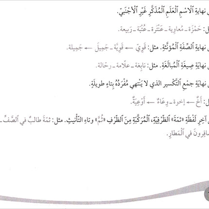 Assistant in Spelling Dictation: Volume 2 المساعد في الإملاء