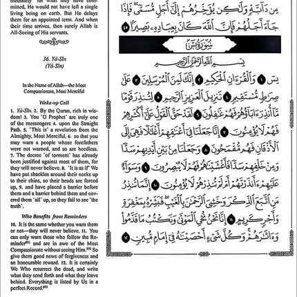 The Clear Quran Series with Arabic Text, Hardcover, (Size: 13" x 16")