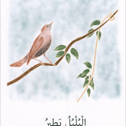 The Reading Tree Series: Beginner Level, Group 1 (Set of 10 Books) سلسلة شجرة القراءة