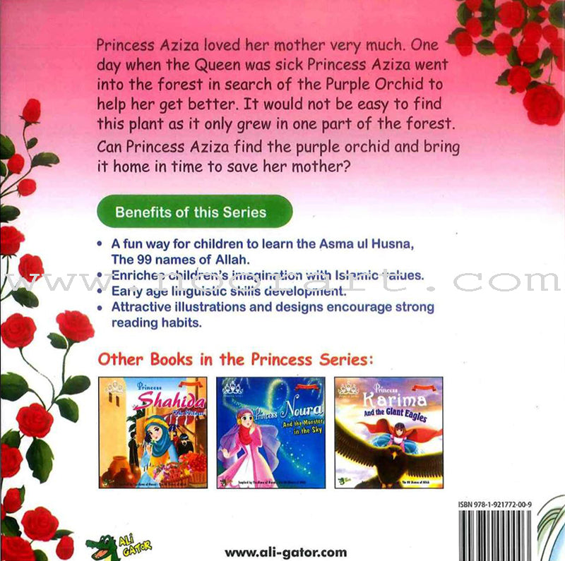 The 99 Names of Allah - Princess Series (Set of 10 Books)