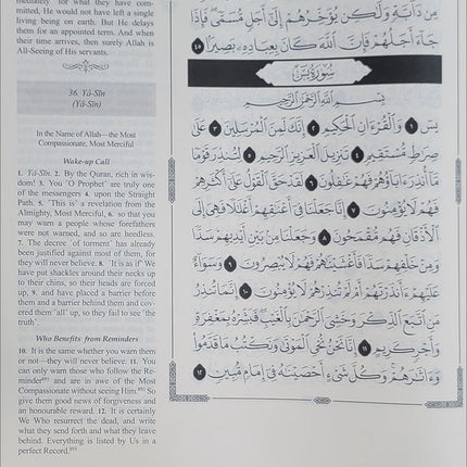 The Clear Quran Series with Arabic Text, Hardcover, (Size: 13" x 16")