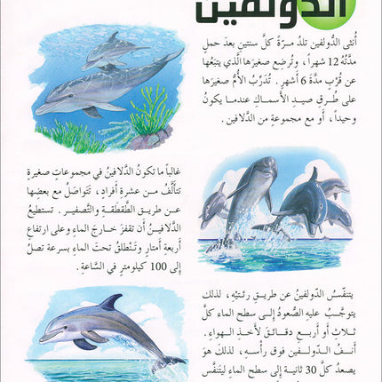 Animal's World series (Set of 6 books) سلسلة عالم الحيوانات