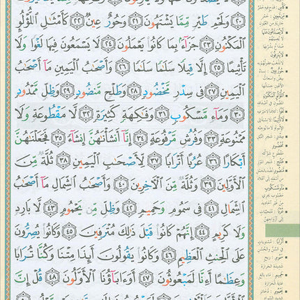 Tajweed Qur'an (Whole Qur'an in 30 Individual Juz', 7" x 10", with Leather Case – Case Color May Vary) مصحف التجويد