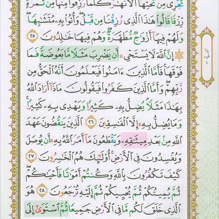 Al-Quran Al-Karim: Waqaf & Ibtida - Color Coded Tajweed (Color May Vary, B5 (6.9” x 9.8”), 30 Juz in 30 Volumes)