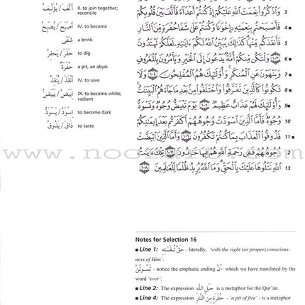 Access to Qur'anic Arabic (3 Books with 4 CDs)