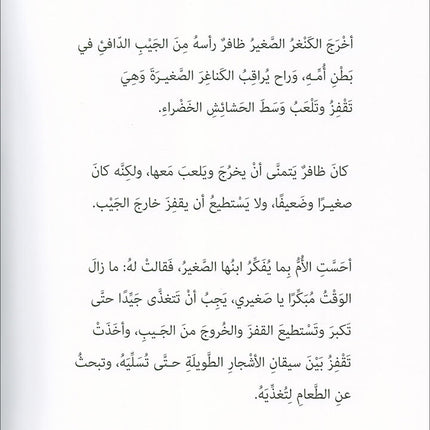 Graded Reading Series: Level 4 (Set of 4 Books) سلسلة القراءة المتدرجة
