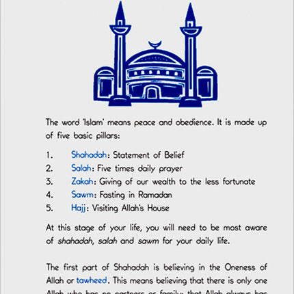 A Muslim Boy's Guide to Life's Big Changes (Old Edition)