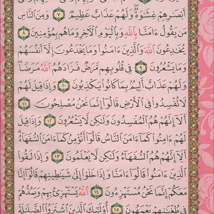 Holy Quran - Spectrum Colors (5.5'' x 7.8''), Colors May Vary