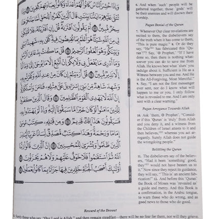The Clear Quran with Arabic Text- Leather (8" x 9.7")| Hifz Edition Othmani Script 15 Lines