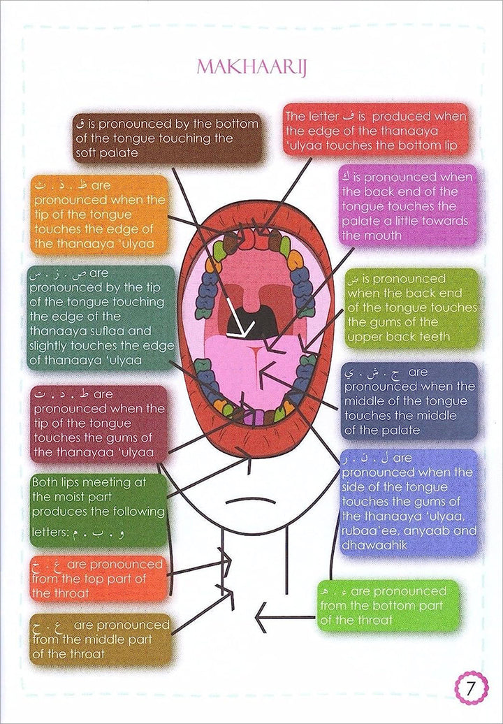 Tajweed Guide