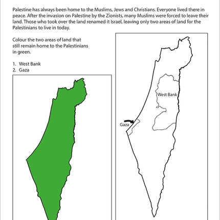 Palestine Activity Book (with stickers)