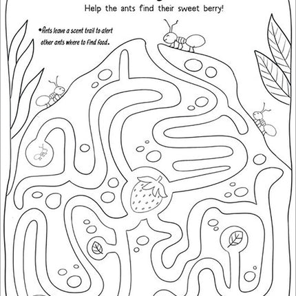 14 Animals in the Quran: Activity & Coloring Book - Part 1