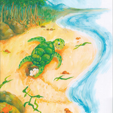 Graded Reading Series: Level 4 (Set of 4 Books) سلسلة القراءة المتدرجة