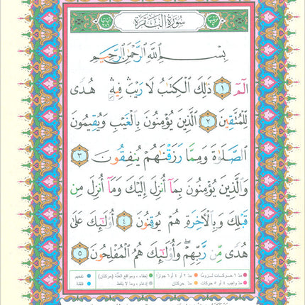 Tajweed Qur'an (Whole Qur'an in 30 Individual Juz', 7" x 10", with Leather Case – Case Color May Vary) مصحف التجويد