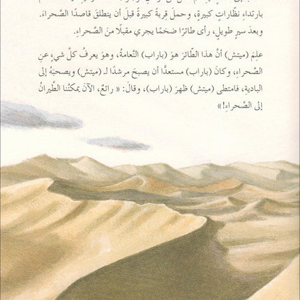 The Forest Mysteries Series (Set of 8 Books) سلسلة الغاز الغابة