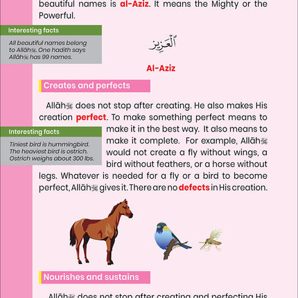 The Message of Islam Textbook: Level 2