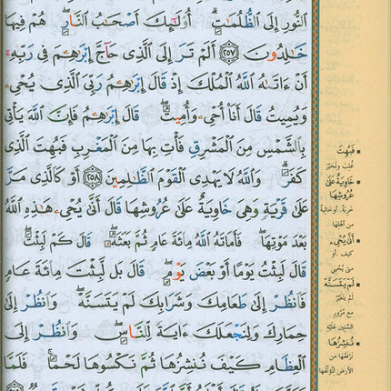 Tajweed Quran (with Names of Allah on the Cover) with QR Codes (5.5" x 8")