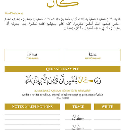Quran Roots: The Most Popular Words Mentioned in The Quran